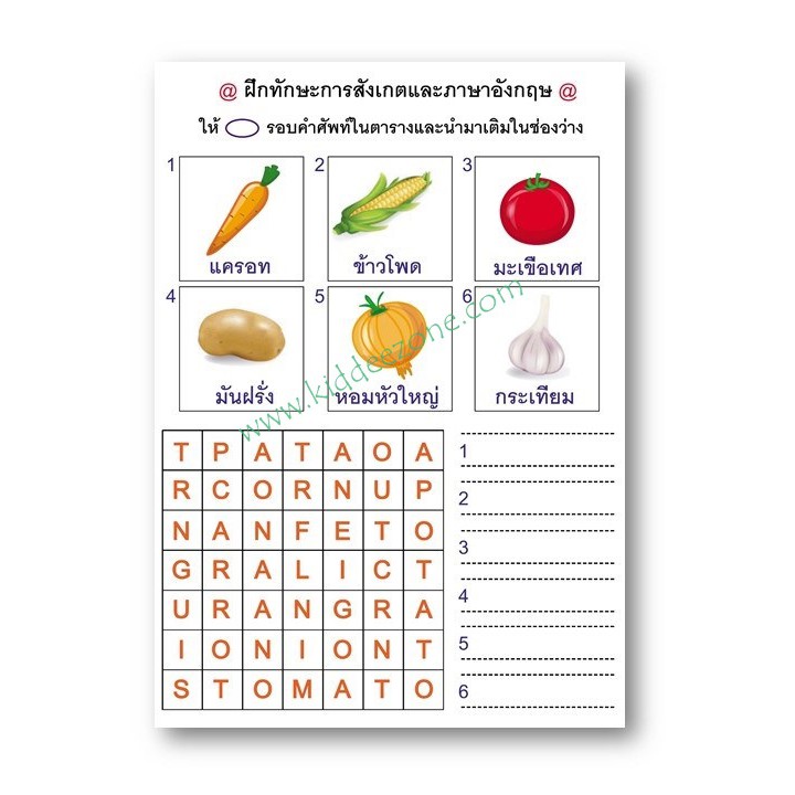 แบบฝึกทักษะการสังเกตและภาษาอังกฤษ หาคำศัพท์ที่ซ่อนอยู่ในตาราง (ระดับ อ. 3  ขึ้นไป) | Shopee Thailand