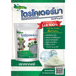 เชื้อราไตรโคเดอร์มา ชนิดผง 100กรัม (Trichoderma harzianum) ป้องกันโรครากเน่า วิจัย LAB ปลอดภัย 100%