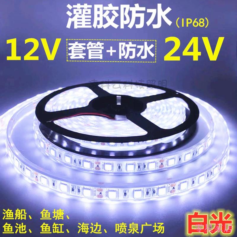 z-lingxing-แถบไฟ-led-12v-24v5050-กันน้ํา-สีขาว-สําหรับสระว่ายน้ํา-เรือตกปลา