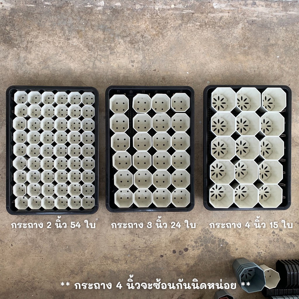 ถาดไดโซะ-ถาดทึบ-ถาดรู-กระถางต้นไม้-4-นิ้ว-15-ใบ-กระถางมี-4-สี-ขาว-ดำ-เทา-อิฐ