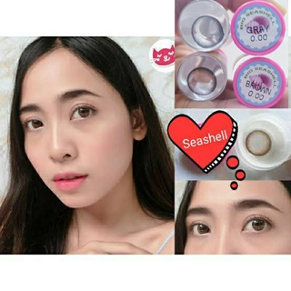 💖 Kitty kawaii Big Seashell / Seeshell สายตา -00 ถึง -1000 brown gray Contactlens บิ๊กอาย คอนแทคเลนส์