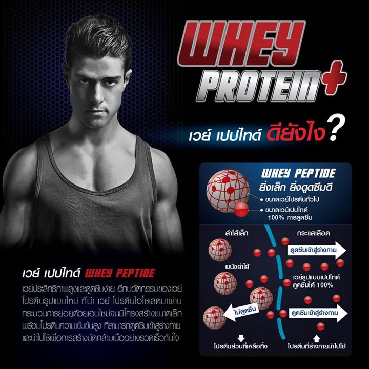 vistra-whey-protein-plus-whey-peptide-amp-vitamin-e