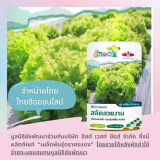 ภาพขนาดย่อของภาพหน้าปกสินค้าGGEW ผักกาดหอม สลัดสวยงาม 40เมล็ด ตราศรแดง เมล็ดพันธุ์พระราชทาน จันกะผัก Lettuce จากร้าน thaiseedonline บน Shopee ภาพที่ 2