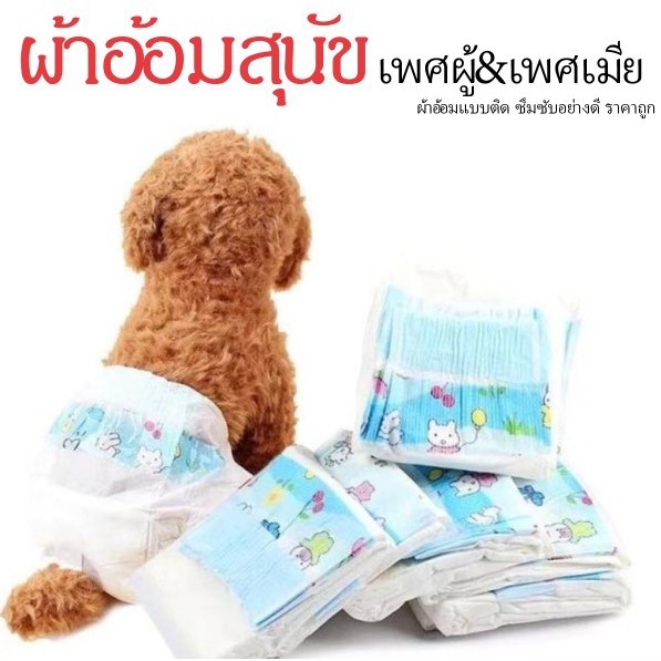 รูปภาพของP217 ผ้าอ้อม สำหรับสุนัข ใส่ได้ทั้ง เพศผู้เพศเมีย  P217ลองเช็คราคา