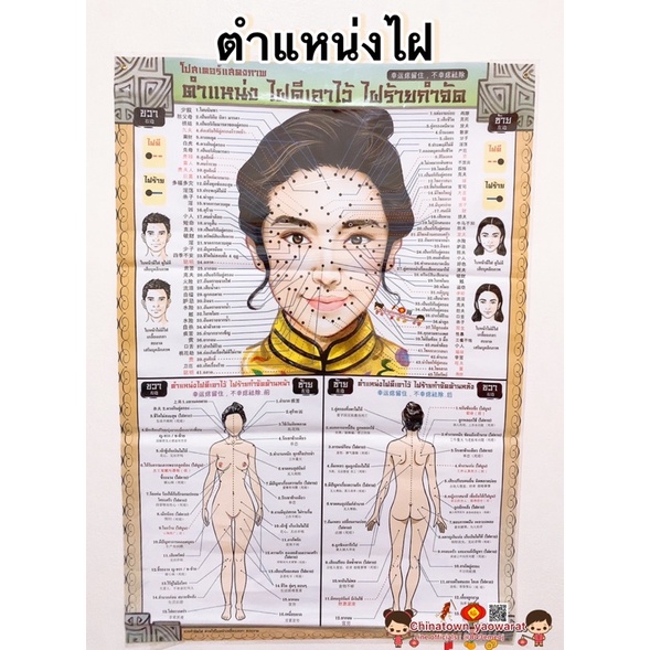 โปสเตอร์บอกตำหนิ-ตำแหน่งไฝดีไฝร้าย-โปสเตอร์-กำจัดขี้แมลงวัน-ดูดวง-มูเตลู-สักลาย-สักยันต์-ไฝร้ายกำจัด-กำจัดไฝ