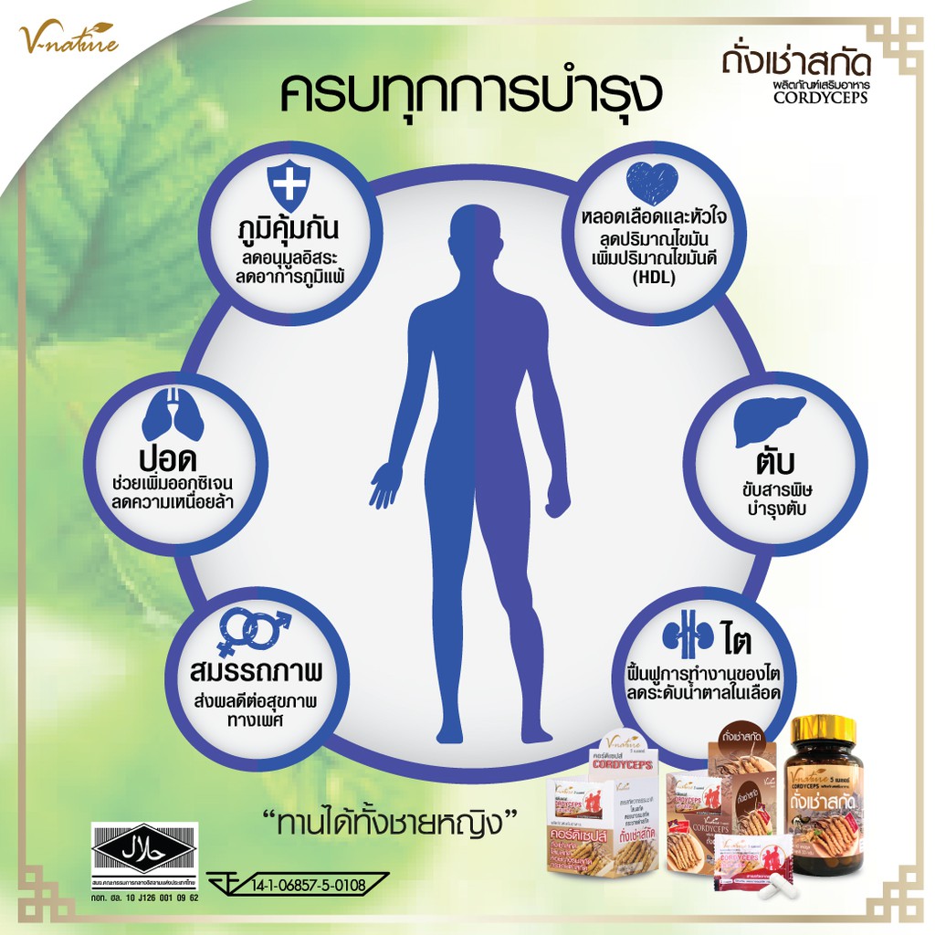 คอร์ดิเซปส์-ถั่งเช่าทิเบตสกัดแท้-ฟื้นฟูสมรรถภาพ-เสริมพลังท่านชาย-เห็ดหลินจือ-สมุนไพรจีน-บํารุงร่างกาย-zinc-บํารุงน้องชาย