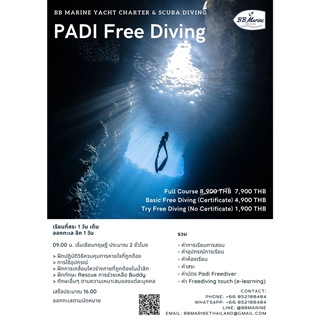 BBMarine คอร์ส เรียนสอนดำน้ำ PADI Free Diving รุ่น PADI-Free-Diving