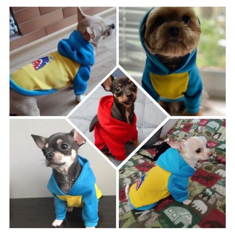 ภาพหน้าปกสินค้าPetBest เสื้อกันหนาว พิมพ์ลายน่ารัก แฟชั่น สำหรับสัตว์เลี้ยง สุนัข แมว จากร้าน dearmypet.th บน Shopee