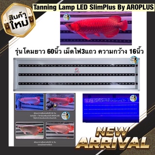 โคมเทนนิ่งสีปลา Tanning Lamp LED SlimPlus By AROPLUS รุ่นโคมยาว 60นิ้ว เม็ดไฟ3แถว ความกว้าง 16นิ้ว