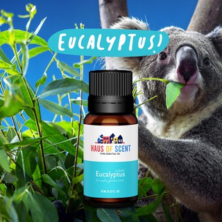 น้ำมันหอมระเหย ยูคาลิปตัส  (EUCALYPTUS) 10 ml. (Pure Essential Oil) -  น้ำมันอโรม่า น้ำมันหอมใส่เครื่องพ่นอโรม่า