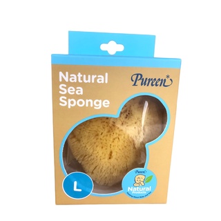 Pureen - ฟองน้ำธรรมชาติ จากทะเลเมดิเตอร์เรเนี่ยน(Natural Sea Sponge) ไซส์L กล่องสีน้ำตาล