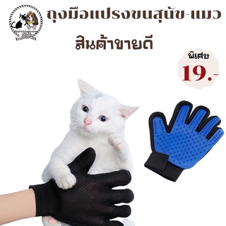 🦮แปรงขนพลาสติก และถุงมือแปรงขนสำหรับสัตว์เลี้ยง รุ่นขายดี 🦮