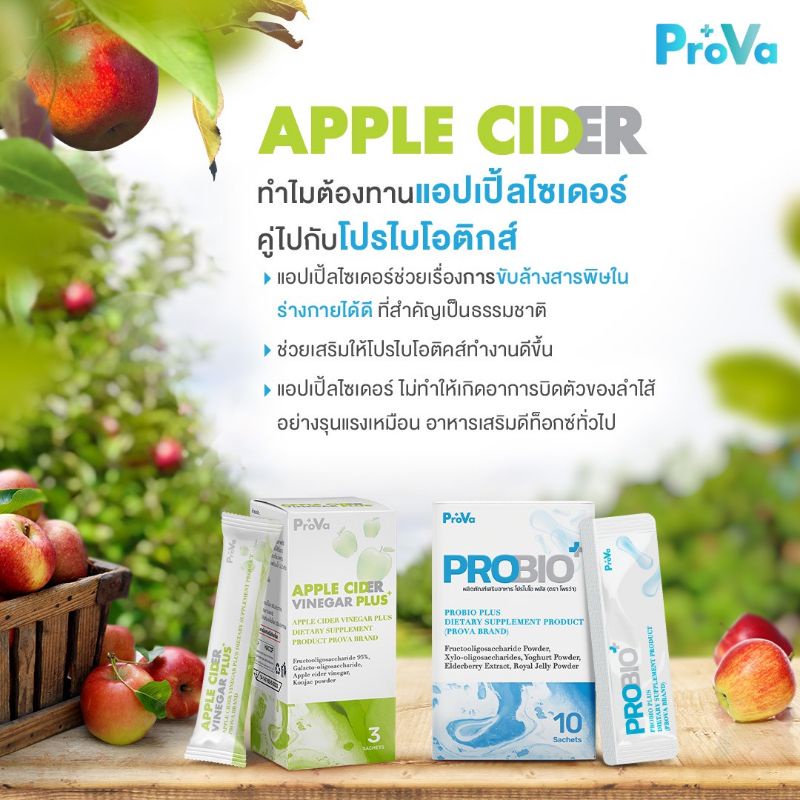 prova-probio-โปรไบโอติก-probiotic-โพรไบโอติกผสมนมผึ้ง-ปรับสมดุลลำไส้-ท้องผูก-ท้องเสีย-เพิ่มภูมิคุ้มกัน