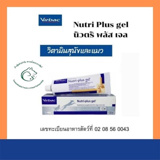 ภาพหน้าปกสินค้าNutri Plus gel นิวตริ พลัส เจล  ผลิตภัณฑ์อาหารเสริมวิตามินสำหรับสุนัขและแมว 120.5 กรัม. EXP. 30/04/24 ซึ่งคุณอาจชอบสินค้านี้