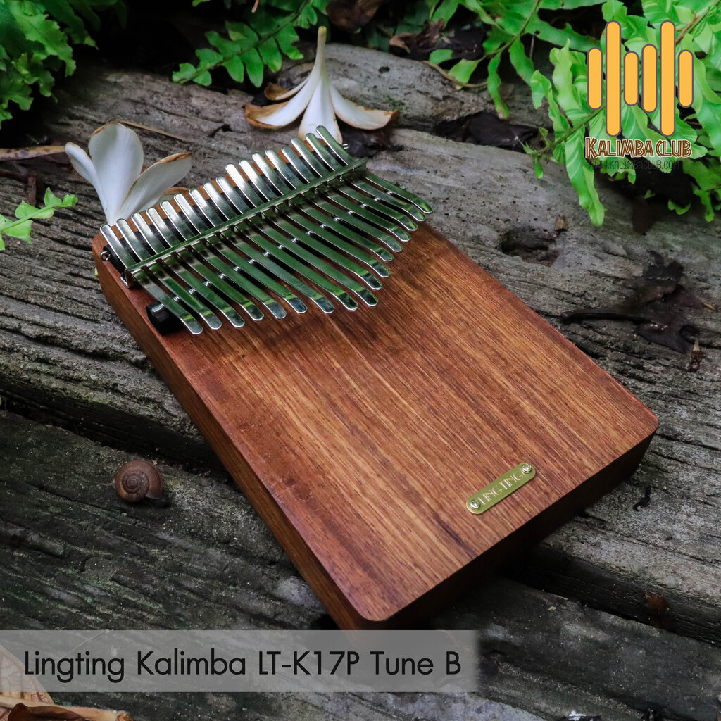 Lingting store kalimba k17p