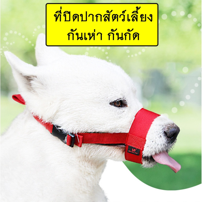 ภาพหน้าปกสินค้าAL-083 ที่ครอบปากสุนัข หมา กันเห่า กันกัด กันเลีย ปรับได้ สีสันสวยงาม ที่ครอบปากเเบบผ้า ตะกร้อมครอบปาก  พร้อมส่ง