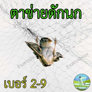 ภาพหน้าปกสินค้าตาข่ายดักนก เบอร์ 2-9 อวนดักนก ดางดักนก ตาข่ายดักค้างคาว ตาข่ายจับนก พิราบ ที่ดักนก ที่จับนก อวนดำ ตาข่ายดำ อวนดักนก ที่เกี่ยวข้อง