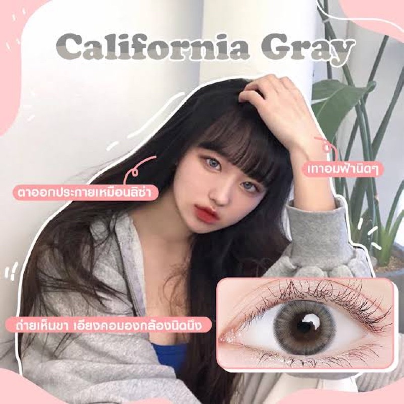 california-gray-เลนส์สีเทาอมฟ้า