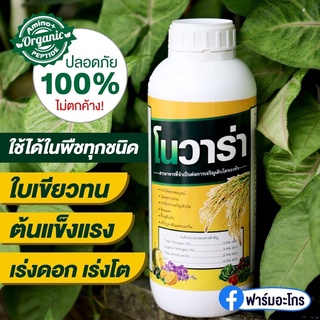 โนวาร่า (ขนาด 1 ลิตร) ฮอร์โมนและอาหารเสริมพืช ของแท้ต้องฟาร์มอะโกร