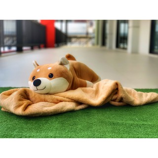 ตุ๊กตาผ้าห่มนุ่มนิ่ม สัตว์ต่างๆ ไซส์ M  Blanket1 Stuffed Animal