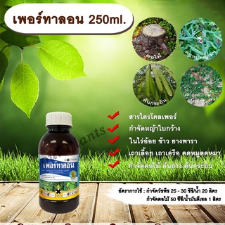 เพอร์ทาลอน 250ml. สารกำจัดวัชพืช สารกำจัดหญ้า หญ้าใบกว้าง เถาเลื้อย เถาเครือ ตดหมูตดหมา กำจัดตอไม้ ต้นไม้ ต้นยาง