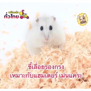 สินค้า ขี้เลี้ยยลองกรงดูดซับกลิ่นฉี่มีขนาด500kg