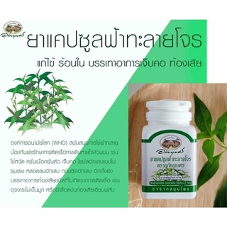 ภาพขนาดย่อของภาพหน้าปกสินค้าพร้อมส่ง ฟ้าทะลายโจร อภัยภูเบศร 400 มก. 60 แคปซูล ของแท้100% จากร้าน healthmee บน Shopee