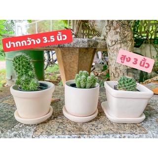 🔥ถูกสุด 💥 พร้อมส่ง🪴กระถางดินเผา พร้อมจานเอาไปเพ้นท์เองได้ ขนาด 3.2 - 5 นิ้ว(ไม่ได้ลงสี) กระถางปลูกต้นไม้