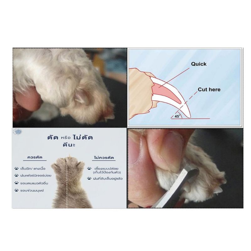 fidoz-factory-กรรไกร-ตัด-เล็บ-แมว-กรรไกร-ตัด-เล็บ-สุนัข-ที่ตัดเล็บหมาแมว-แถมฟรีที่ตะไบเล็บ