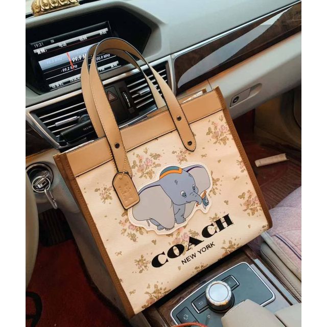 กระเป๋า-coach-dumbo-รุ่นใหม่ล่าสุด