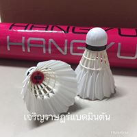 ภาพหน้าปกสินค้าลูกแบดมินตัน HUNGYU ครบสี จากร้าน crb.badmintonshops บน Shopee