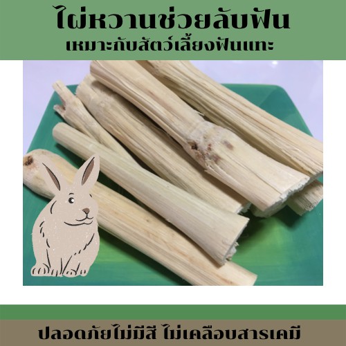 ไผ่หวานกระต่าย-ไม้ไผ่หวานลับฟัน-สำหรับสัตว์เลี้ยงฟันแทะ-ขนาด-100g