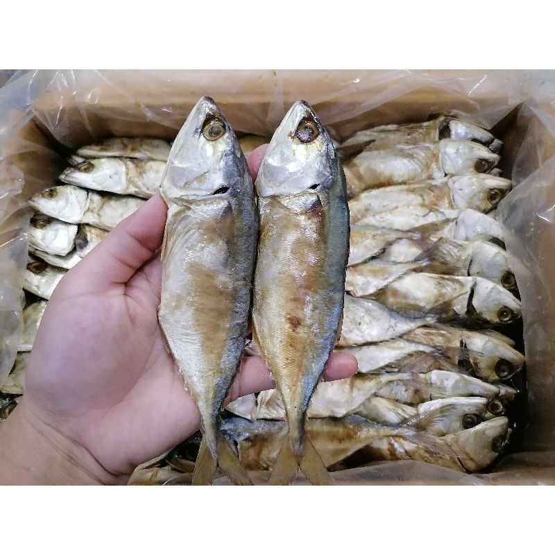 ภาพหน้าปกสินค้าปลาทูหอมแพ็คแบ่งขาย1ตัว จากร้าน radcharod บน Shopee