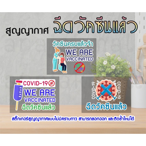 สติ๊กเกอร์สูญญากาศฉีดวัคซีนแล้ว-we-are-vaccinated-มีเก็บปลายทาง-แผ่นสูญญากาศติดกระจก-แบบไม่ไดคัท01-พร้อมส่งในไทย