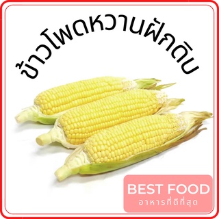 ข้าวโพดหวานฝักดิบ Sweet corn