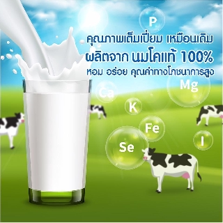 ภาพขนาดย่อของภาพหน้าปกสินค้า9.9 (แบ่งขาย) นมผงนำเข้าจากนิวซีแลนด์ 250 g. 100% ส่งทั่วไทย จากร้าน pneverything บน Shopee