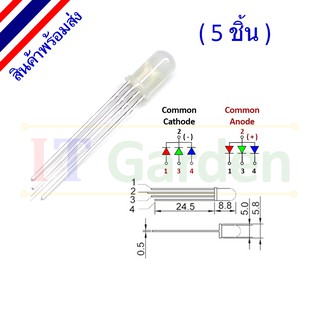 LED RGB 5mm หมอก Cathode/Anode (5 ชิ้น)