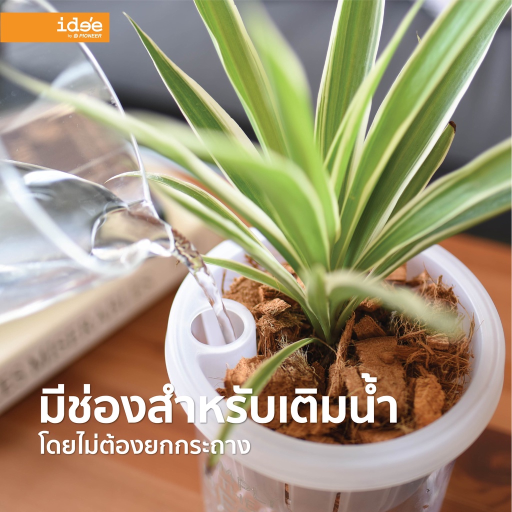 ภาพสินค้าide'e  NEW  กระถางต้นไม้รดน้ำอัตโนมัติ ขนาด 4 นิ้ว ทรงสูง รุ่น Self-watering (PN628LA) กระถางต้นไม้พลาสติก จากร้าน ideebypioneer บน Shopee ภาพที่ 5