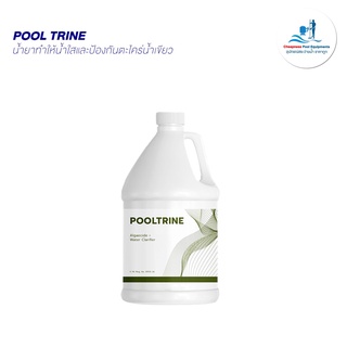 POOLTRINE PLUS (พูลทีน พลัส) น้ำยาทำให้น้ำใสและป้องกันตะไคร่น้ำเขียว ขนาด 3.8 ลิตร