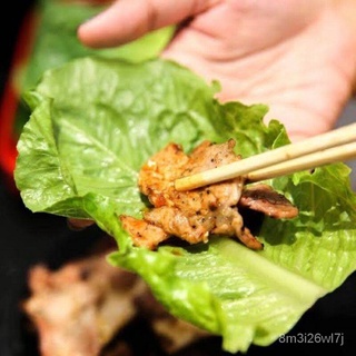 เมล็ดพืชคุณภาพสูง เมล็ดพันธุ์ ผักสลัดเกาหลี ซังชู (Lettuce Seed) บรรจุ 100 เมล็ด ใช้รับประทานคู่กับปิ้งย่าง RU5H