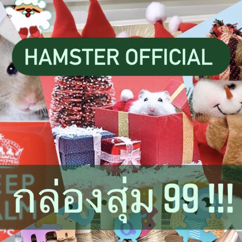 ภาพหน้าปกสินค้ากล่องสุ่มของกิน ของใช้สัตว์เล็ก ของน่ารักแฮมเตอร์ ชูก้าร์ เม่นแคระ ชินชิลล่า แฮมสเตอร์ Hamster Official อาหาร บ้าน ขนมนก
