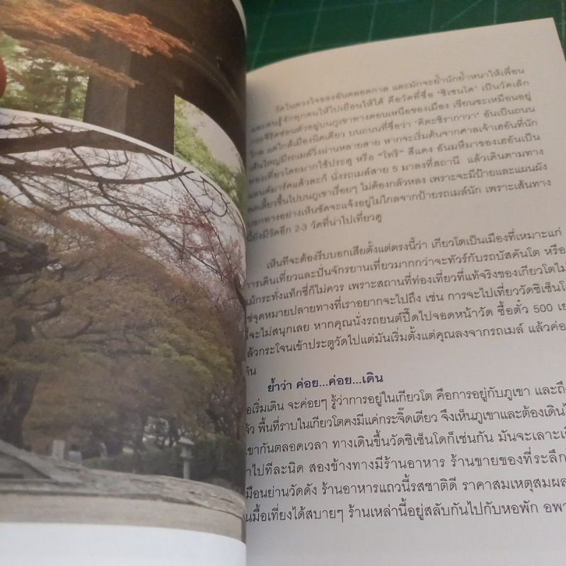 หนังสือ-เกียวโต-รักเธอมากทุกวัน-เรื่องฮิมีโตะ-ณ-เกียวโต