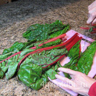 (ผู้ค้าส่งเมล็ดพันธุ์) สวิสชาร์ด แดง คะน้าสวิสถูกที่สุด 9 บ. Ruby Red​ Swiss Chard ปลูกง่าย โตไว ทานอร่อยต้นไม้ฟอกอากาศเ