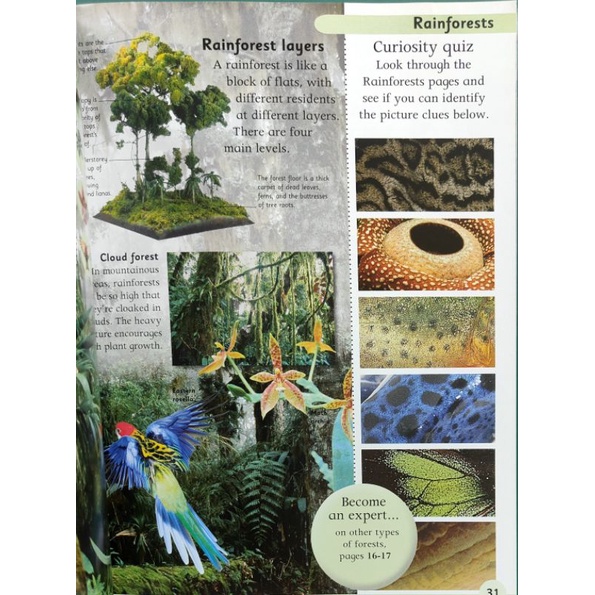 หนังสือเด็กมือสอง-nature-encyclopedia-first-reference-by-dorling-kindersley-หนังสือเด็กภาษาอังกฤษ