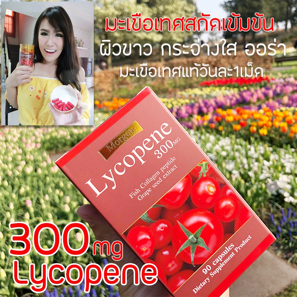 ภาพสินค้าMorgen Lycopene 300 MG 90 เม็ด ( 1 กระปุก ) Exp. 03/2025 (มะเขือเทศสกัดเข้มข้น) จากร้าน youtheryshop บน Shopee ภาพที่ 5