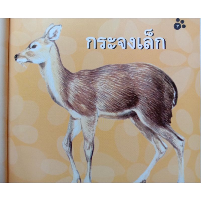 สารคดีชีวิตสัตว์-ชุดที่-1-สัตว์เลี้ยงลูกด้วยนม-ปกแข็ง-4-สี-ชมรมเด็ก