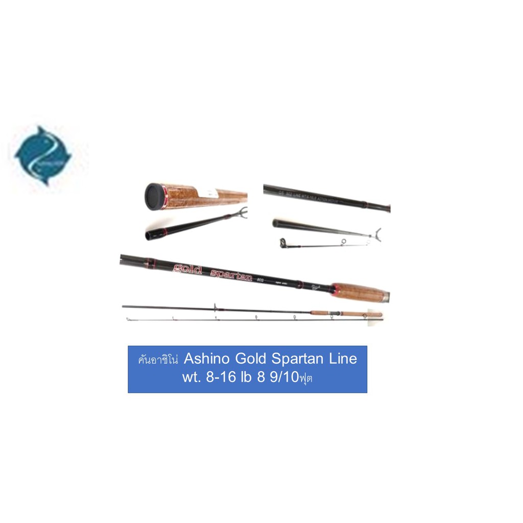 คันสปิ๋ว-อาชิโน่-กราไฟท์-ashino-gold-spartan-line-wt-8-16-lb-8-9-10ฟุต-คันเบ็ด-คันหน้าดิน