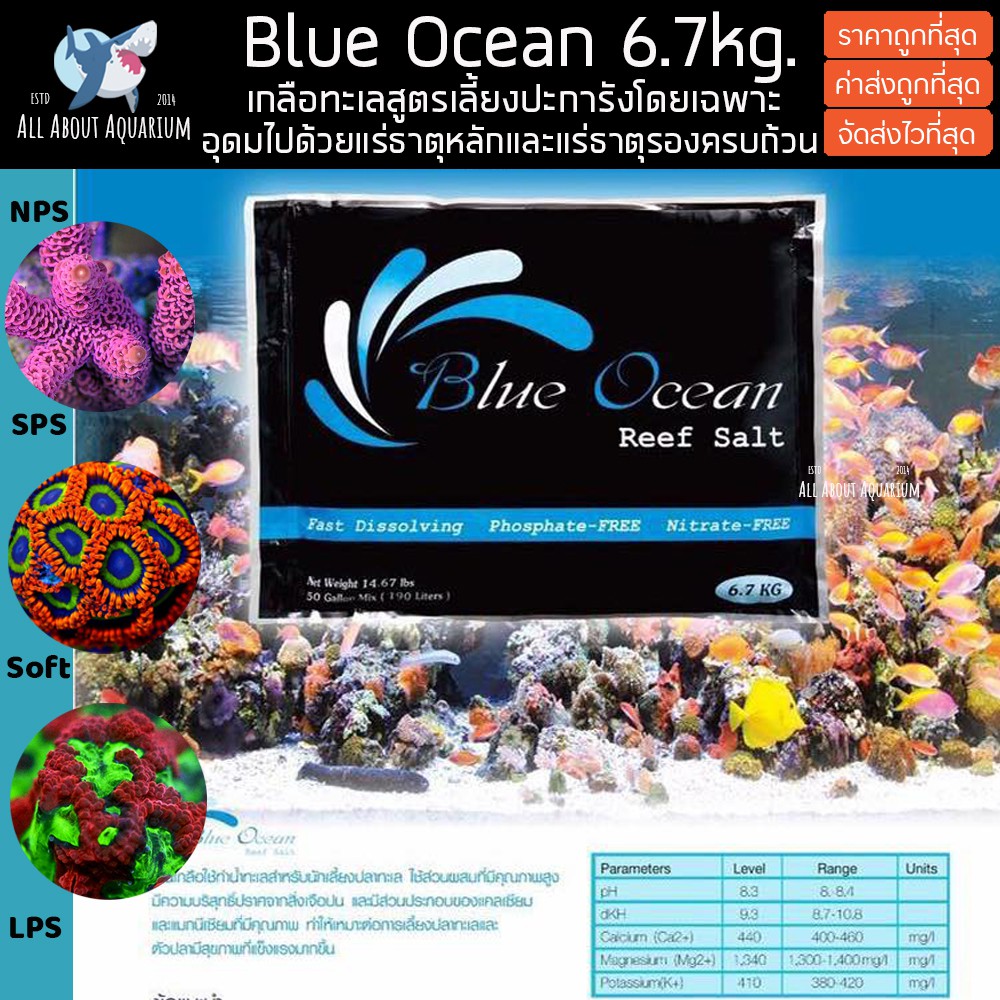 ขายส่ง-blue-ocean-เกลือสำหรับตู้ทะเล-สูตรพิเศษสำหรับเลี้ยงปะการัง-มีความสะอาดสูง-เคมีครบถ้วน-6-7kg-เกลือทำน้ำทะเล