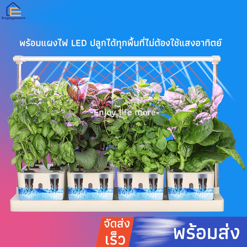 enjoymore-เครื่องปลูกผักระบบไฮโดรโปรนิกส์อัจฉริยะ-ครื่องปลูกผัก-พร้อมไฟ-led-เครื่องปลูกผักไฮโดรโปนิกส์