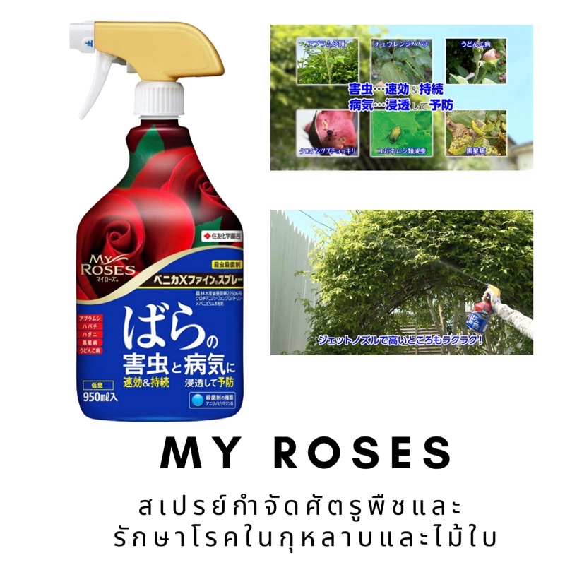 my-roses-สเปรย์ฆ่าศัตรูพืชและโรคของดอกกุหลาบ-นำเข้าจากญี่ปุ่น-made-in-japan